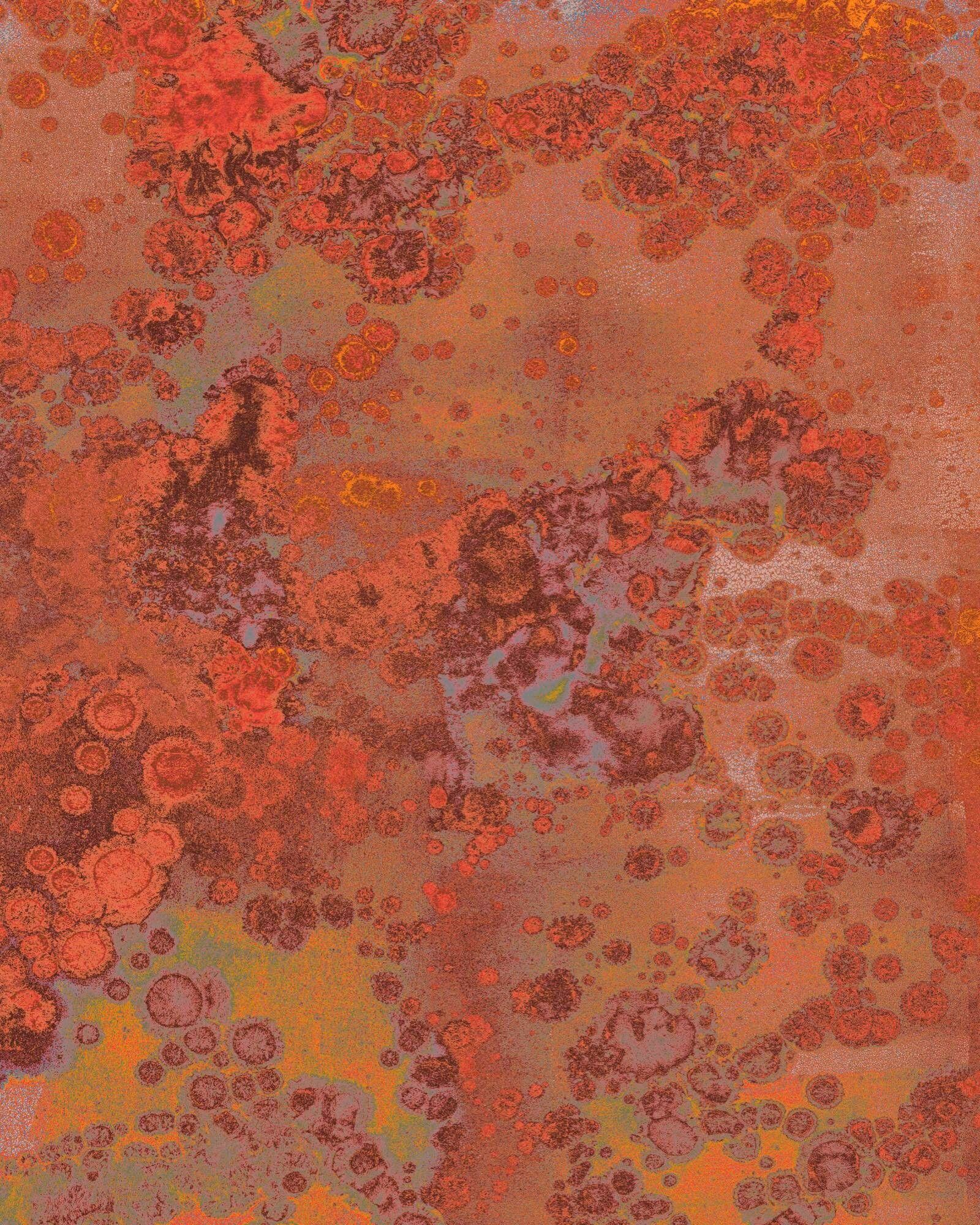 Vliestapete KOMAR "Digitaldruck Vlies - Patina - Größe 200 x 250 cm", bunt, B:200m L:250m, Vlies, Tapeten, Vliestapete, Wohnzimmer, Schlafzimmer