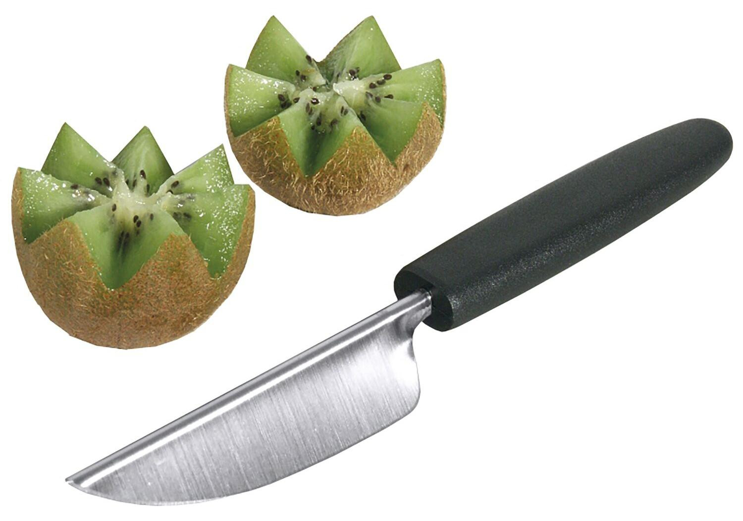 Contacto Fruitontvruchtingsmes