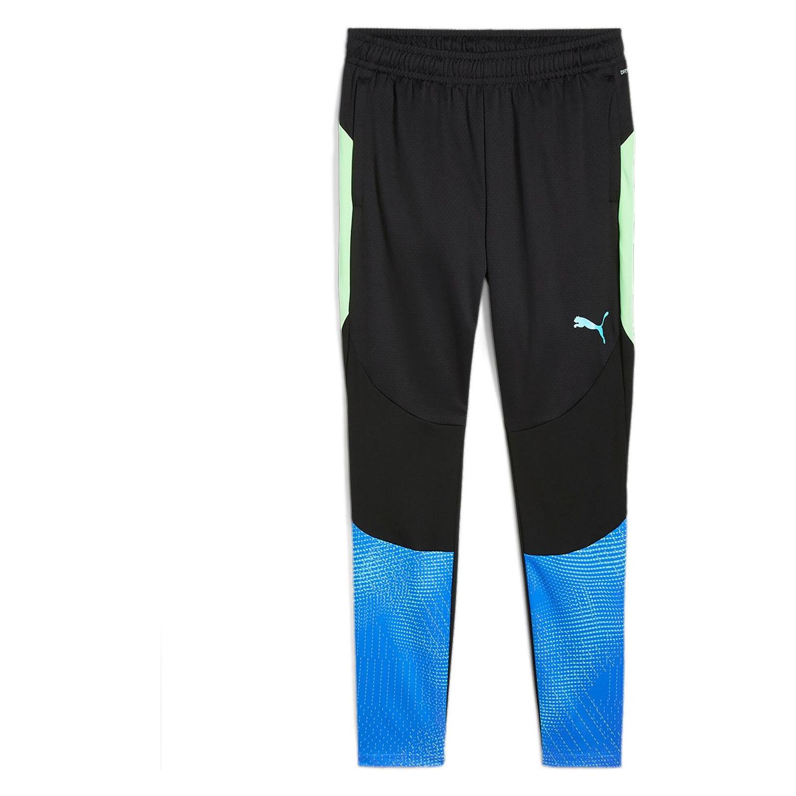 Puma individualFINAL Training Pants (L) (659585)