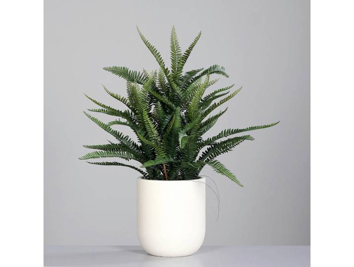Pflanzentopf, Grün, Kunststoff, 80 cm, Dekoration, Blumen & Blumentöpfe, Übertöpfe