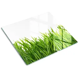 GLASPLATTE 60x52 cm Gras