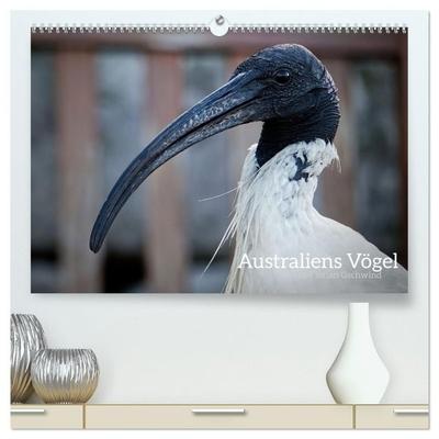 Australiens Vögel (hochwertiger Premium Wandkalender 2027 DIN A2 quer), Kunstdruck in Hochglanz