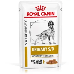 48x100 g HUND Royal Canin Urinary S/O Moderate Calorie