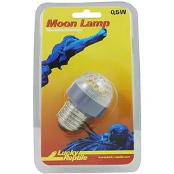 Lucky Reptile - Moon Lamp