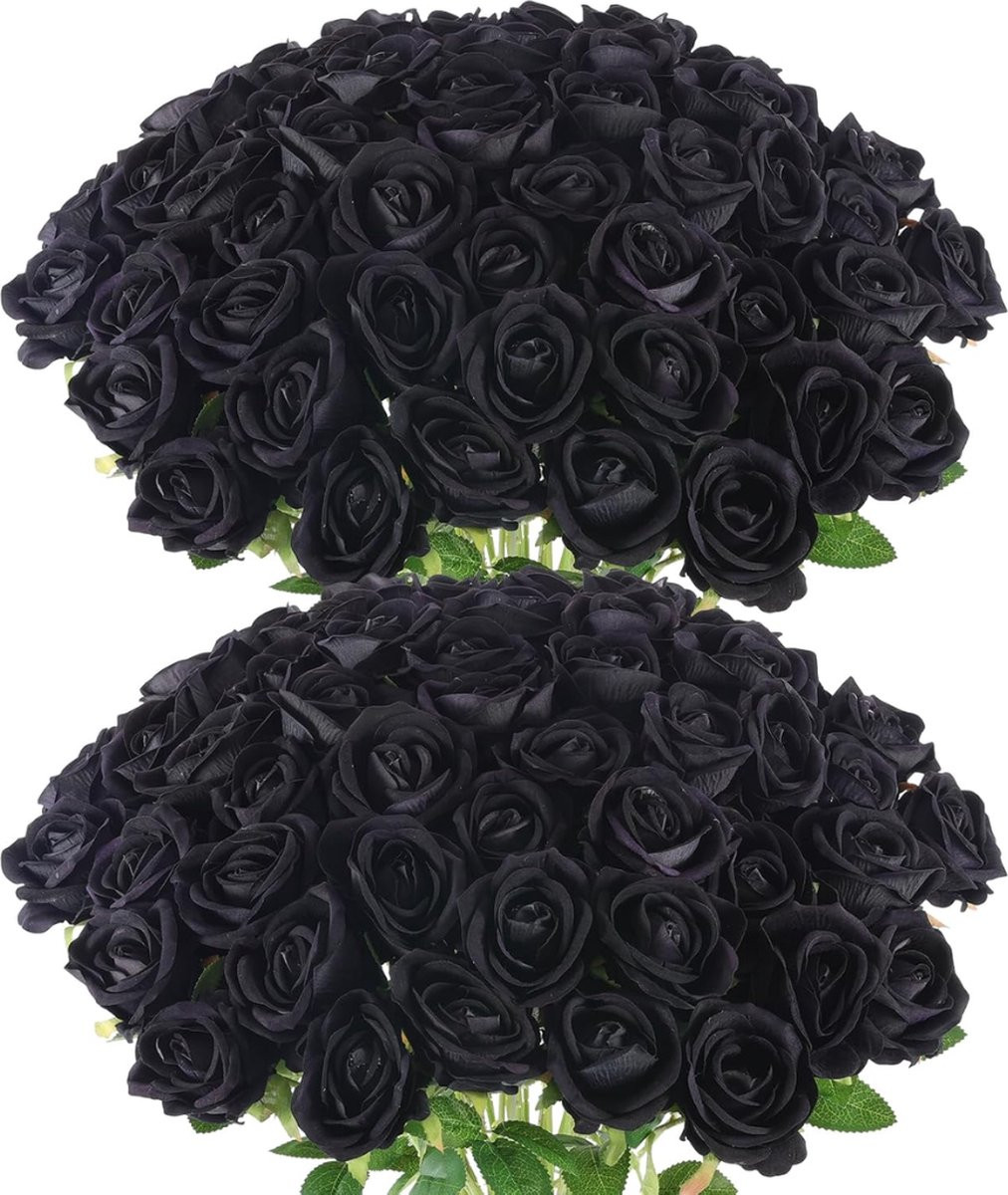 ROSIFY Set van 50 zwarte zijden kunstrozen, 50 cm