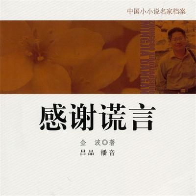 感谢谎言 - 金波, Audio, 4099995948608