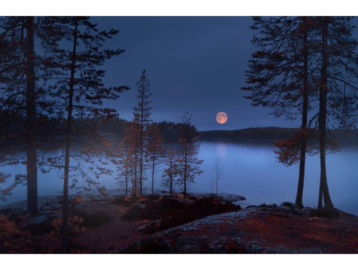 Fototapete PAPERMOON Photo-Art NIKKI GEORGIEVA V, ROTER MOND , bunt, B:2m L:1,49m, Vlies, Tapeten, Fototapete