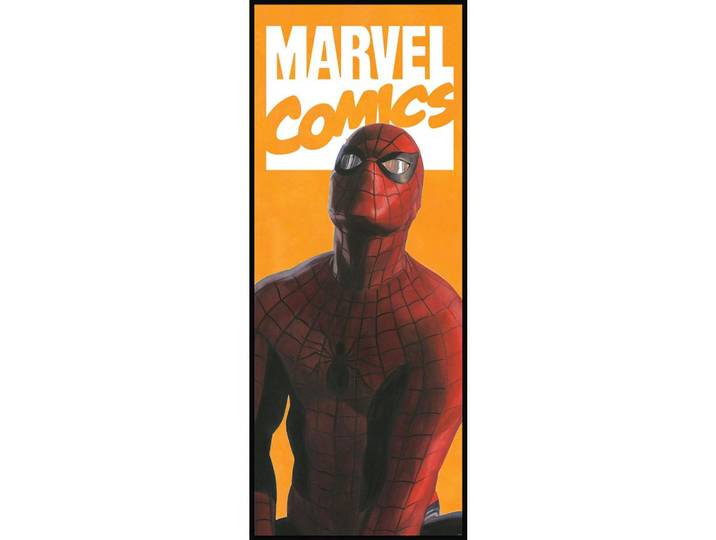 FOTOTAPETE SPIDER-MAN COMIC