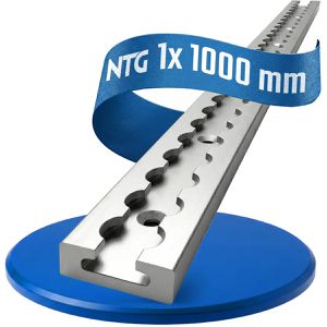 NTG Airlineschiene Standard, zum Kleben & Schrauben, 100 cm, aus Aluminium, silber, eckig