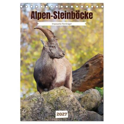 Alpen-Steinböcke, imposante Hornträger (Tischkalender 2027 DIN A5 hoch), CALVENDO Monatskalender