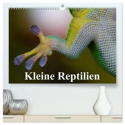 Kleine Reptilien (hochwertiger Premium Wandkalender 2026 DIN A2 quer), Kunstdruck in Hochglanz