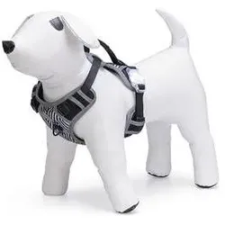 Beeztees Safety Gear Y-geschirr (Hund, Allgemein), Halsband + Leine