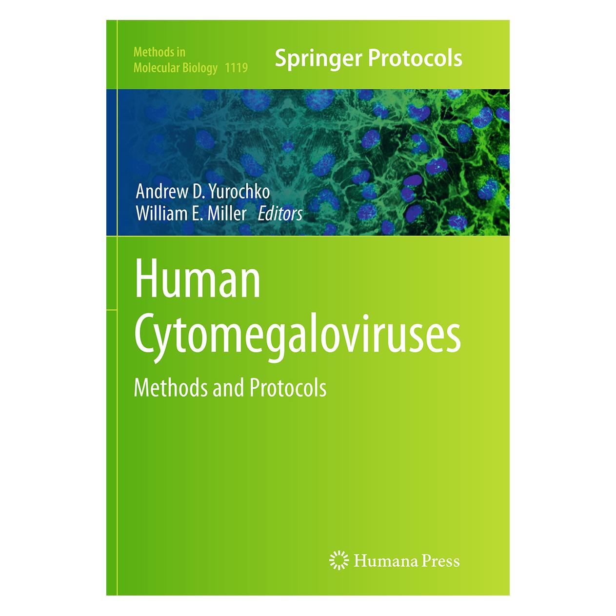 Springer Human Cytomegaloviruses (Englisch, Softcover, Andrew D. Yurochko, William E. Miller) (55841722)