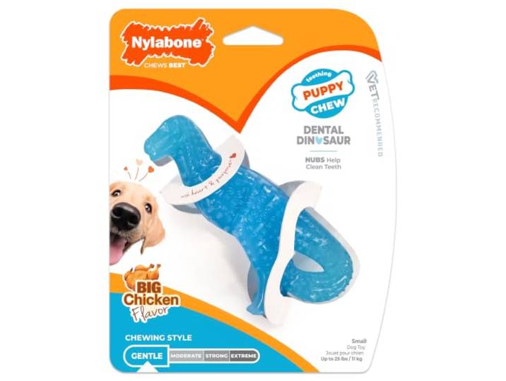 N/BONE PUP TEETH DINO SMLSGL
