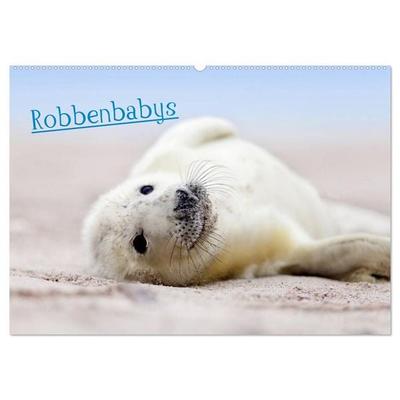 Robbenbabys (Wandkalender 2026 DIN A2 quer), CALVENDO Monatskalender
