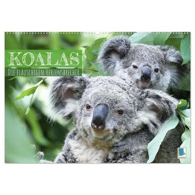 Koalas: die flauschigen Herzensbrecher (Wandkalender 2027 DIN A2 quer), CALVENDO Monatskalender