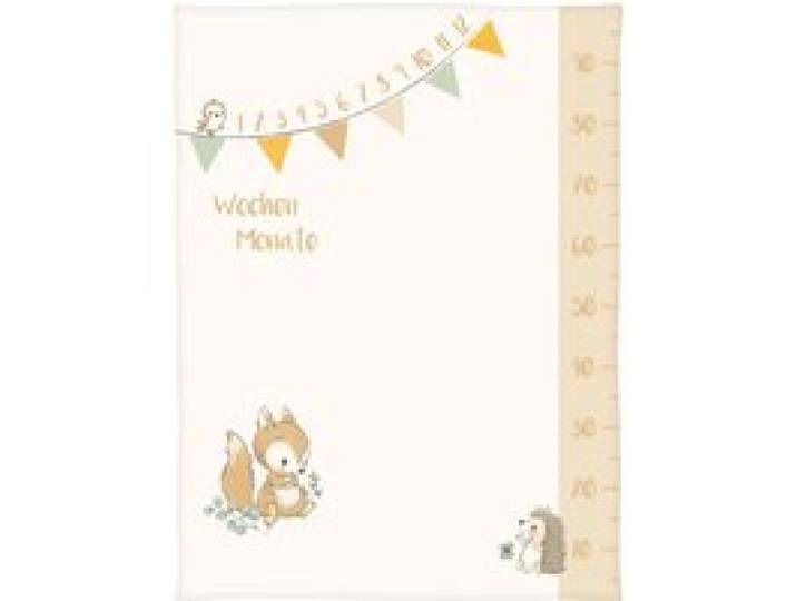 Babydecke Microfaserflausch Meilenstein 75x100 cm