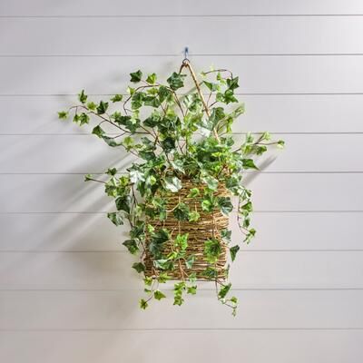 Regency International "26"" Frost English Ivy Spray"