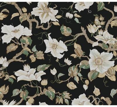 Ronald Redding Marguerite Vine Black Wallpaper