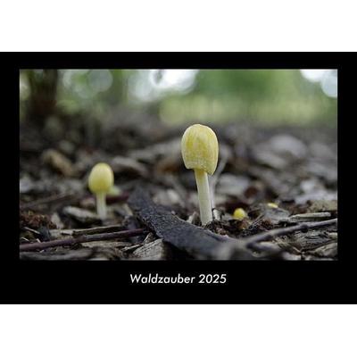 Waldzauber 2025 Fotokalender DIN A3