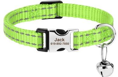 Uplifted Finds Safe Track Customized ID Module green