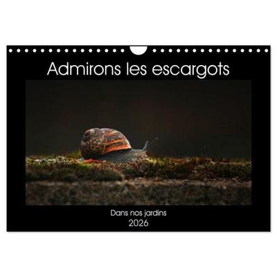 Admirons les escargots (Calendrier mural 2026 DIN A4 vertical), CALVENDO calendrier mensuel