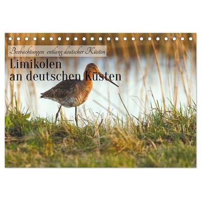 Limikolen an deutschen Küsten (Tischkalender 2027 DIN A5 quer), CALVENDO Monatskalender