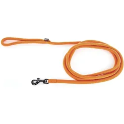 Martin Sellier Nylon-Longe rund (Hund, Katze, Nager, Spazieren), Halsband + Leine