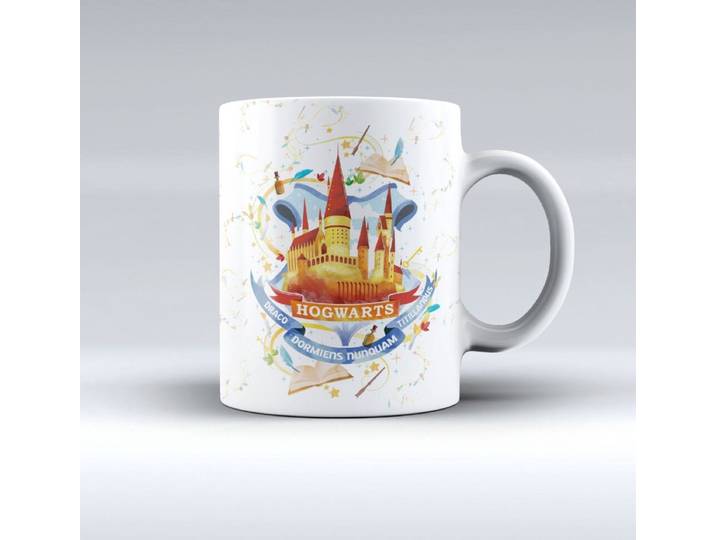 Wizarding World - Harry Potter - Mok - Zweinstein Concept