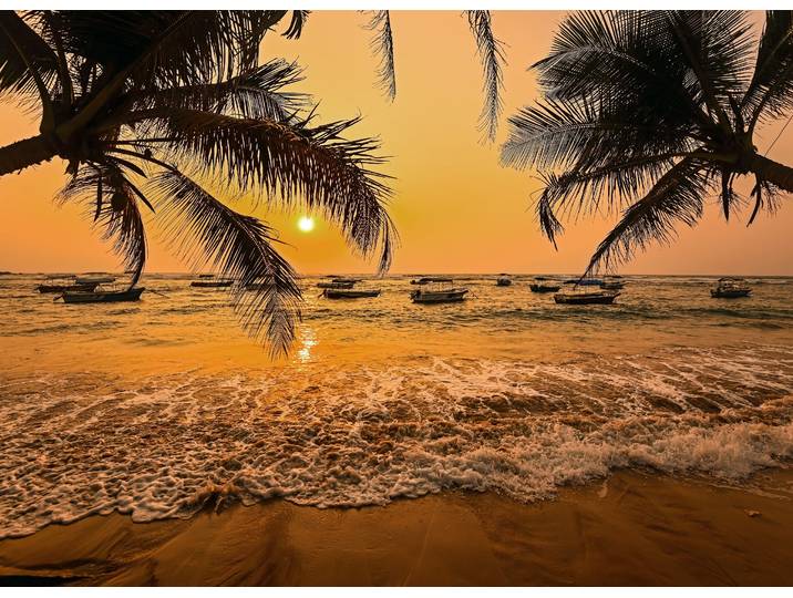 Fototapete PAPERMOON Sri Lanka Palm Beach , bunt, B:3,5m L:2,6m, Vlies, Tapeten, Fototapete