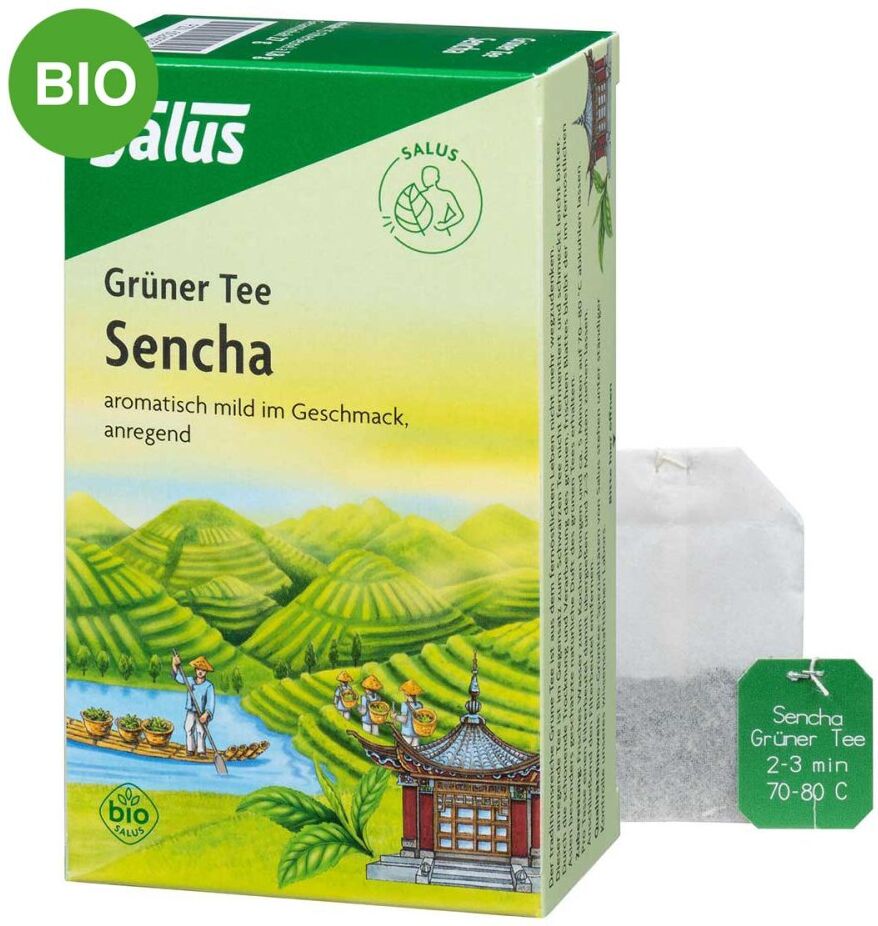 Grüner Tee bio Salus Filterbeutel 15stk
