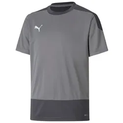 Puma teamGOAL 23 Trikot Kinder - grau - 128
