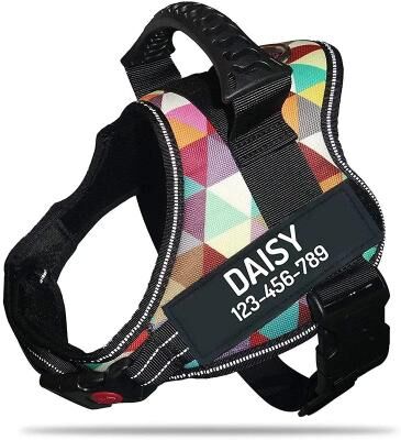 Inspire Essentials SecureFit Personalized Dog Harness 10 xs