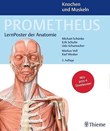 Erik Schulte - PROMETHEUS LernPoster der Anatomie, Knochen und Muskeln - Preis vom 13.10.2026 19:28:25 h