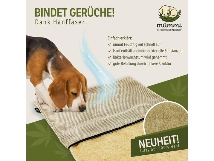mümmi Hundebett HANF - geruchsbindend Allergikerfreundlich Hundekissen Cord-Bezug waschbar bei 60° Hundematte eckig rutschfest Hundedecke , Hundematratze Germany, Farbe:beige, Größe:Größe 2
