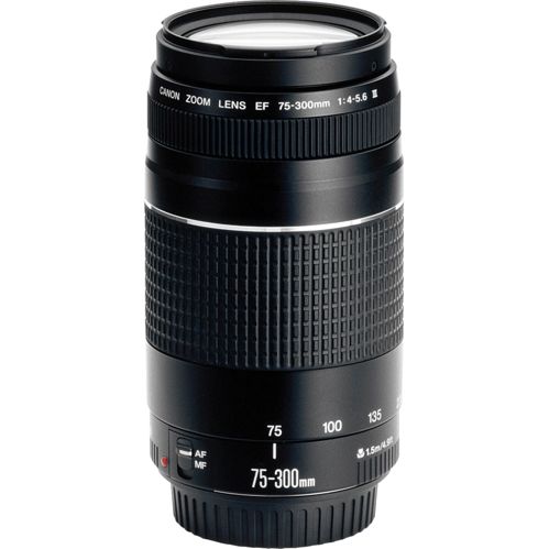 Canon EF DC 4,0-5,6/75-300 III