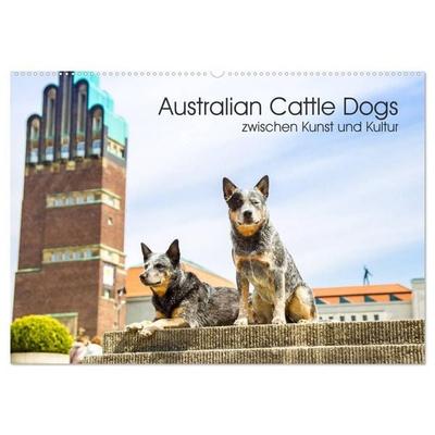 Australian Cattle Dogs zwischen Kunst und Kultur (Wandkalender 2027 DIN A2 quer), CALVENDO Monatskalender