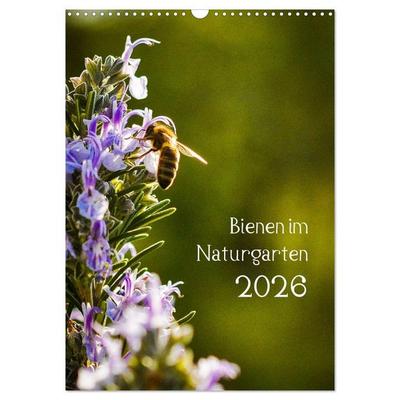 Bienen im Naturgarten (Wandkalender 2026 DIN A3 hoch), CALVENDO Monatskalender