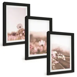 BILDER SET 3er Set - 20x30 cm Schwarzer Rahmen - Sommerlandschaften mit Wildblumenwiesen