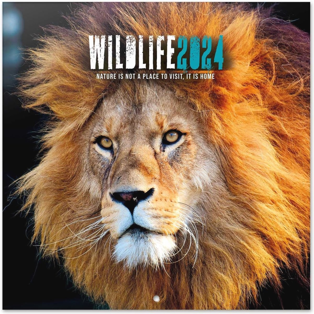 Wandkalender 2024 Wildlife - 12 maanden - FSC-gecertificeerd - Familieplanner met bonus 4 maanden