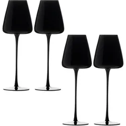 Intirilife Wein Glas Set für Rotwein Weisswein, Weingläser, Schwarz