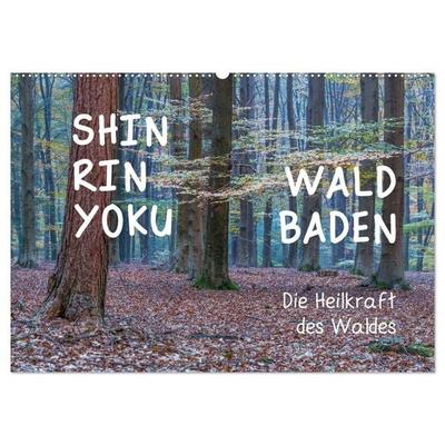 Shinrin yoku - Waldbaden 2027 (Wandkalender 2027 DIN A2 quer), CALVENDO Monatskalender