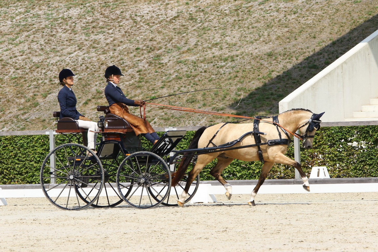 Zilco Einspännergeschirr "Classic Einspänner Set" Pony