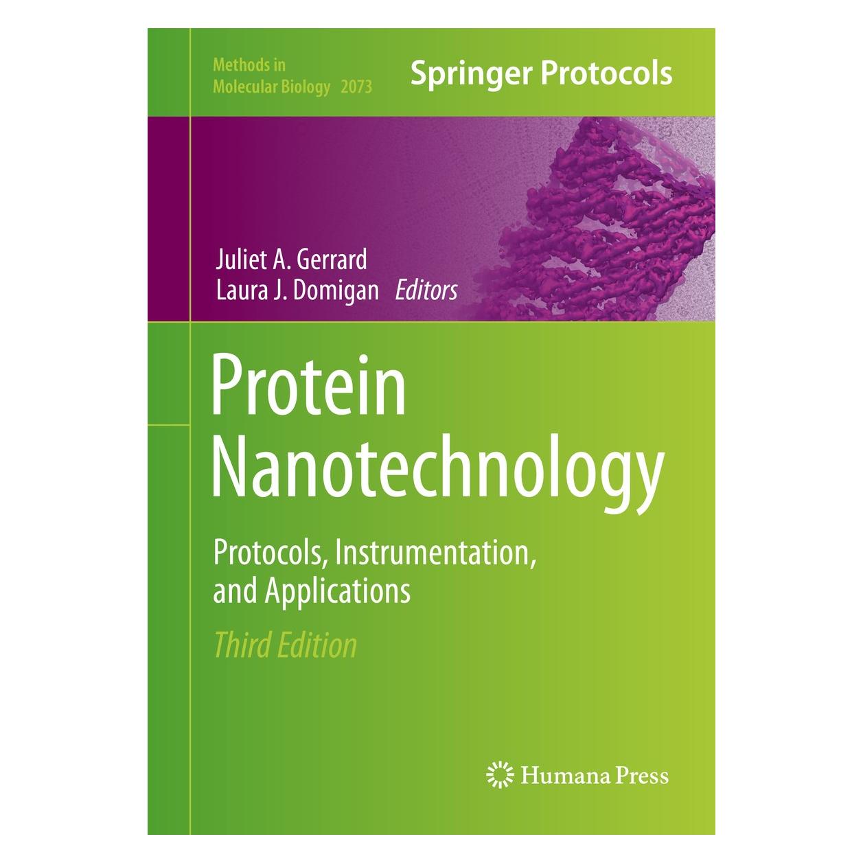 Springer Protein Nanotechnology (Englisch, Hardcover, Juliet A. Gerrard, Laura J. Domigan) (9781493998685)