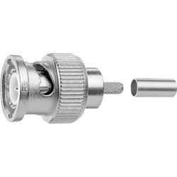 Telegärtner 100023463 100023463 BNC-Steckverbinder Stecker, gerade 75 Ω 1 St.