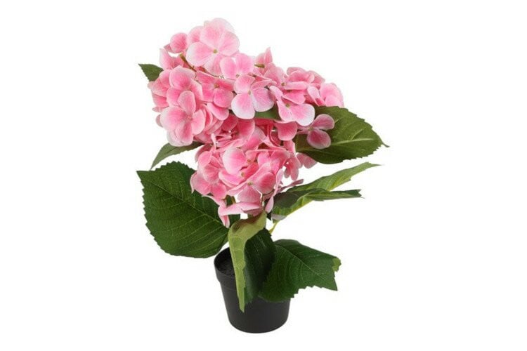Countryfield zijden Hydrangea macrophylla plant roze 37 cm