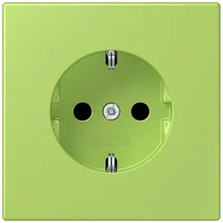 Jung SCHUKO Steckdose LC 1521 221
