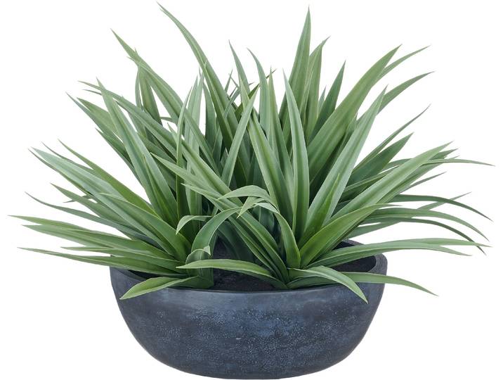Kunstpflanze CREATIV GREEN Dracaena , grün, H:50cm, Obermaterial: 100% Kunststoff, Kunstpflanzen, Kunstpflanze, mit naturgetreuem Blattwerk
