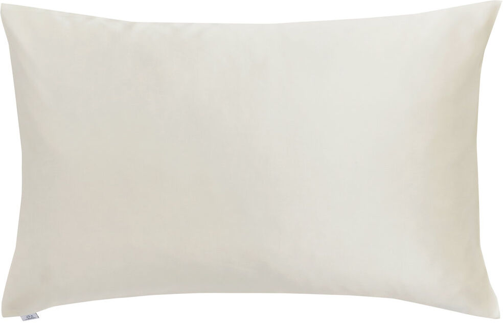 Bedeck of Belfast 100% Mulberry Silk Pillowcase Beige