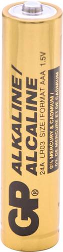 GP GPIND24AB Micro (AAA)-Batterie Alkali-Mangan 1.5V 1000St.